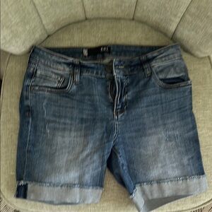 Kut from the Kloth Women's Classic Blue Jean Shorts